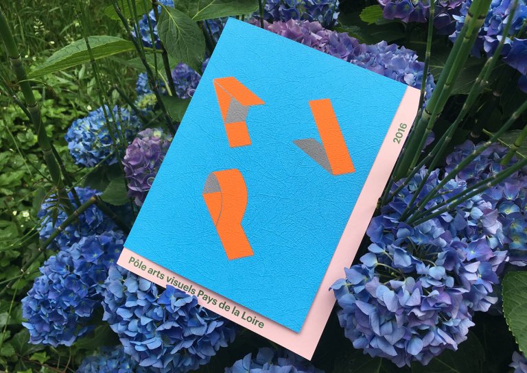 P&ocirc;le arts visuels Pays de la Loire